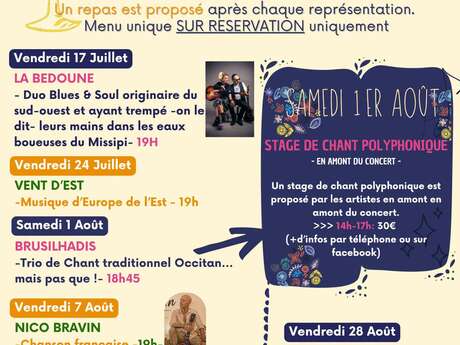 CONCERT DE NICO BRAVIN AU MOULIN
