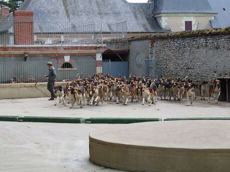 Portes ouvertes au chenil du Rallye Perseigne