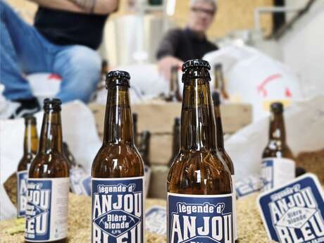 Brasserie Anj'ou Démon