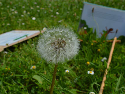 Atelier "Les petits explorateurs de la nature"