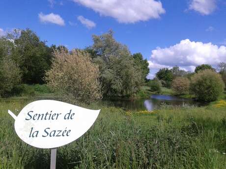 SENTIER D'INTERPRÉTATION LES MÉANDRES DE LA SAZÉE