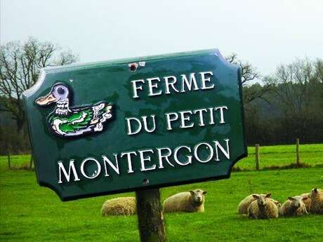 EI Gaudin Audrey - Ferme du Petit Montergon