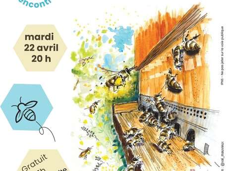Rencontre d'illustratrice : Valérie Mauvieux (Oisseau)
