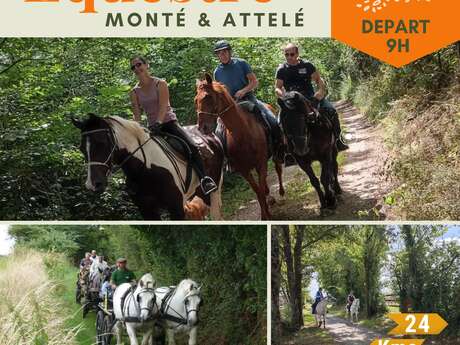 RANDONNÉE ÉQUESTRE