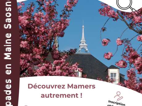 Escapades en Maine Saosnois : Coup d'œil sur la ville haute de Mamers