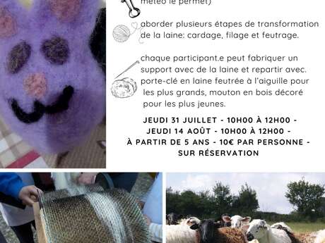 Atelier laine à la Ferme aux 5 Chemins - Le Bourg-d'Iré