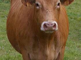 FERME DES SOURDRIES