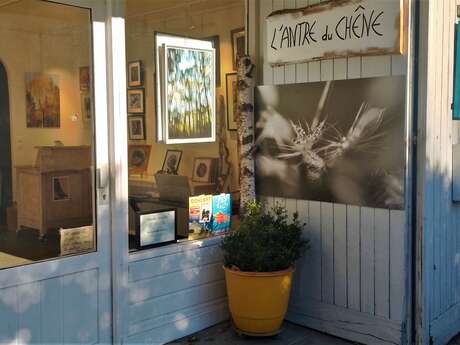 Edwige Lesiourd Photographe