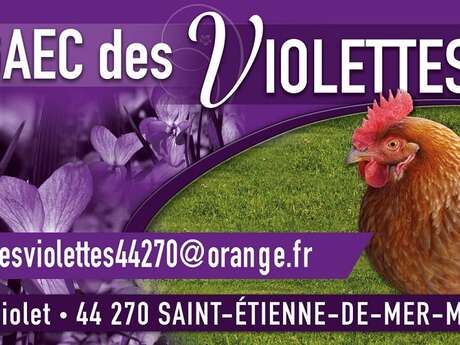 GAEC DES VIOLETTES
