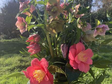 Ferme florale L'étang de papi