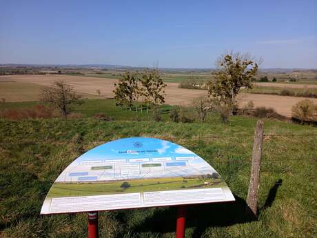 Journées du Patrimoine de Pays et des Moulins - "Cultivons nos racines : des fossiles aux champs, une histoire saosnoise à découvrir"