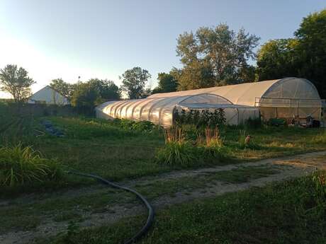 Visite du jardin de permaculture "Le Jardin de Notre-Dame" - mercredi du terroir
