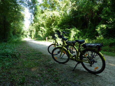 PARCOURS CYCLO - CAP SUR LA FORÊT DE PERSEIGNE PARCOURS CYCLO - CAP SUR LA FORÊT DE PERSEIGNE