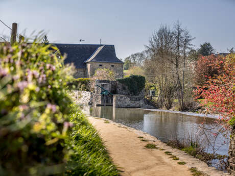 Visite estivale des moulins
