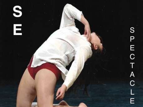 Spectacle de danse avec Béa Danse