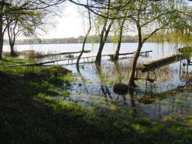 SUR LES PAS DU PÊCHEUR HUPPÉ À POUANCÉ