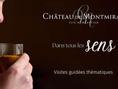 Visites guidées "Dans tous les sens" au Château de Montmirail