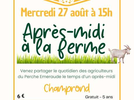 Après midi à la ferme