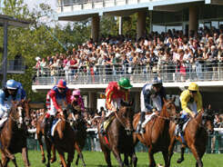 COURSES HIPPIQUES