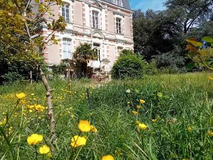 Visite du Château de Villeneuve à Sablé-sur-Sarthe - mardi du patrimoine