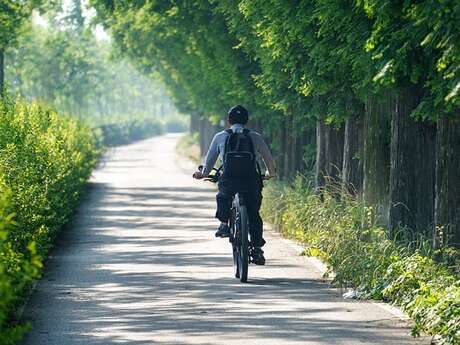 La Vélorution : balade cycliste