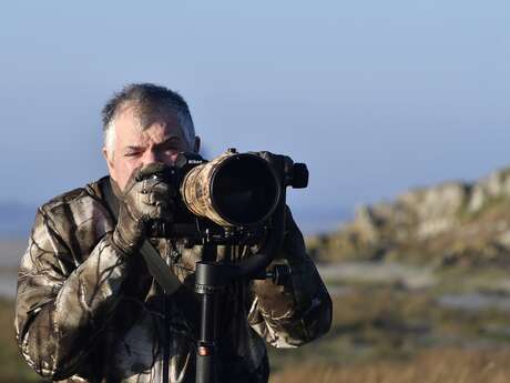 Espèces discrètes : la photo pour débutant