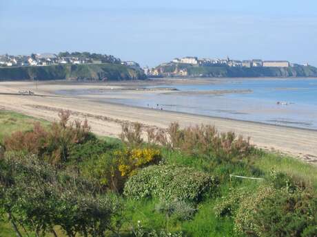 Meublé de tourisme > Les Chardons Bleus n°32