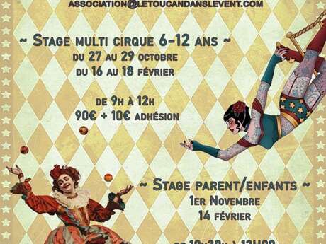 Stages de cirque