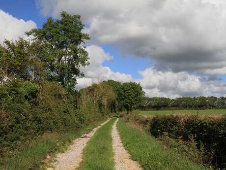 La Route des Chiffonniers - Étape 3 - Beauchamps - Villedieu-Les-Poêles