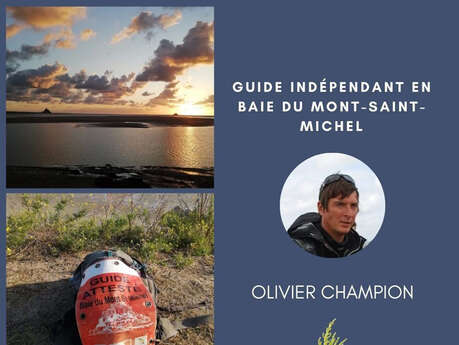 Guide de la Baie Olivier CHAMPION
