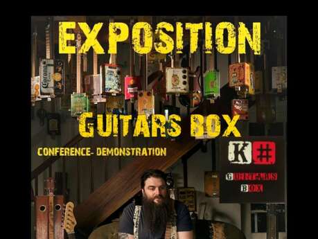 Exposition de guitars boxes