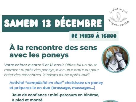 À la rencontre des sens avec les poneys