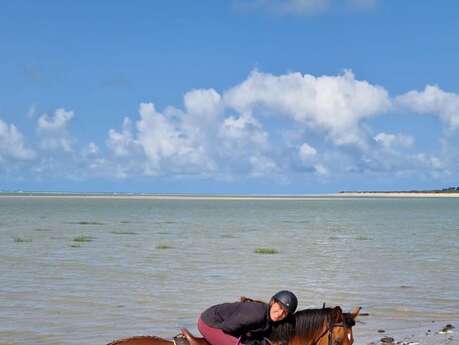 Randonnée à cheval 3 jours - Havre de la vanlée
