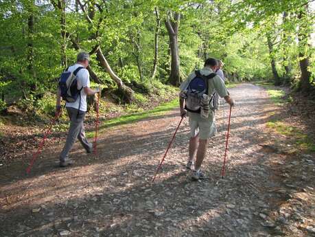 Les chemins du Mont-Saint-Michel - Chemin de Barfleur - Cérences - La Haye-Pesnel