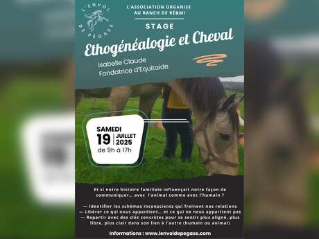 Stage Ethogénéalogie et cheval