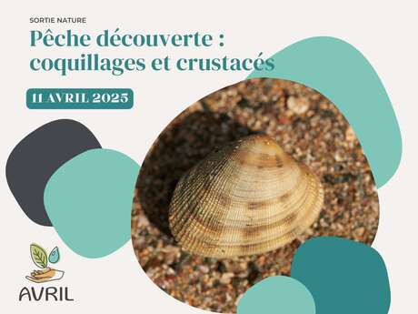 Pêche découverte coquillages et crustacés