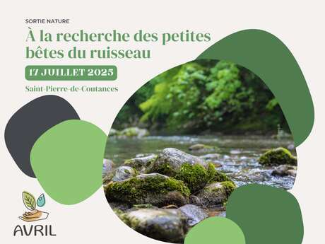 A la recherche des petites bêtes du ruisseau