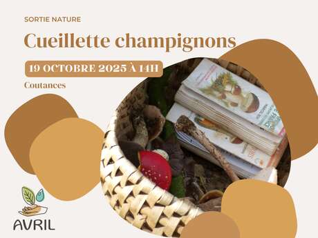 Cueillette champignons