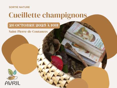 Cueillette champignons