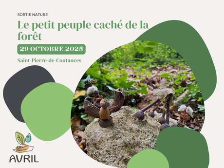 Le petit peuple caché de la forêt
