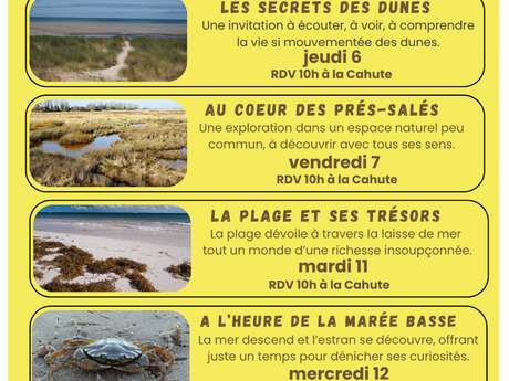 La plage et ses trésors