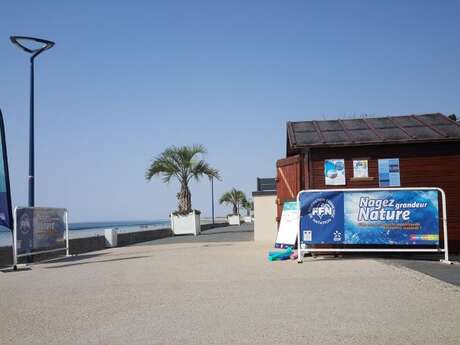 Nagez Grandeur Nature dans le Sud Manche - Donville-les-Bains