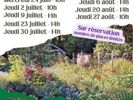 Visite guidée de jardin