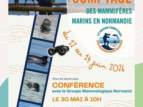Grand comptage des mammifères marins de Normandie
