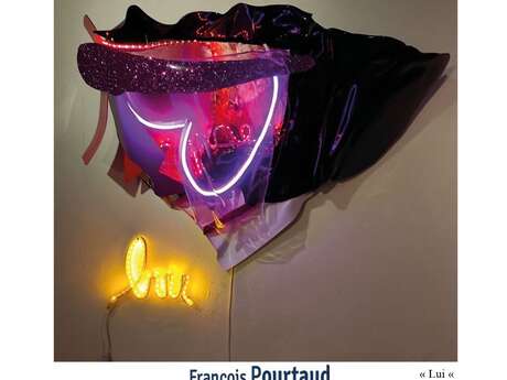 Exposition F. POURTAUD
