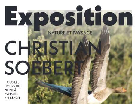Exposition de Christian Soebert