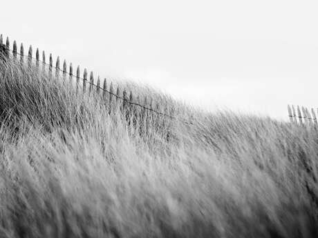 Photographies de Nicolas Evariste