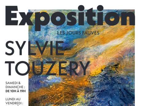 Exposition de Sylvie Touzery