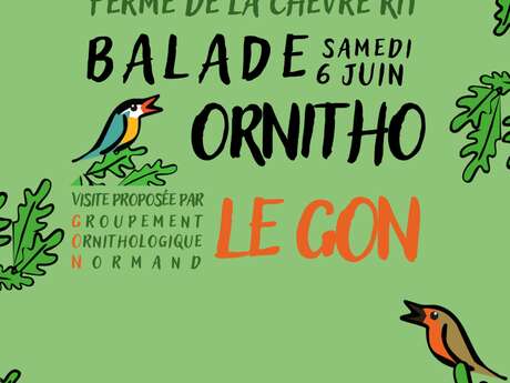 Sortie Ornitho - Découvrir les oiseaux du bocage