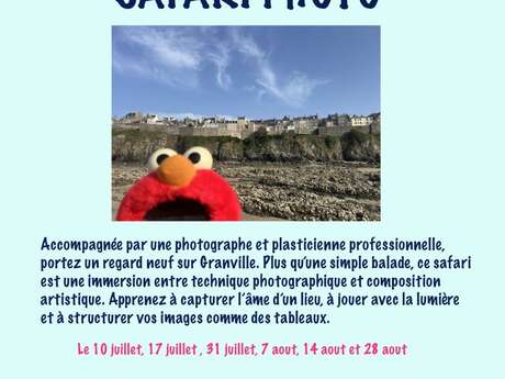 Stage d'été - Safari photo
